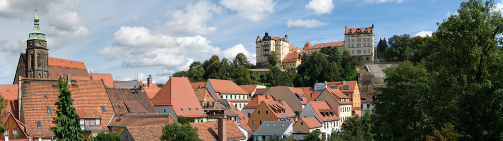 Schloss Sonnenstein und Pirnaer Altstadt